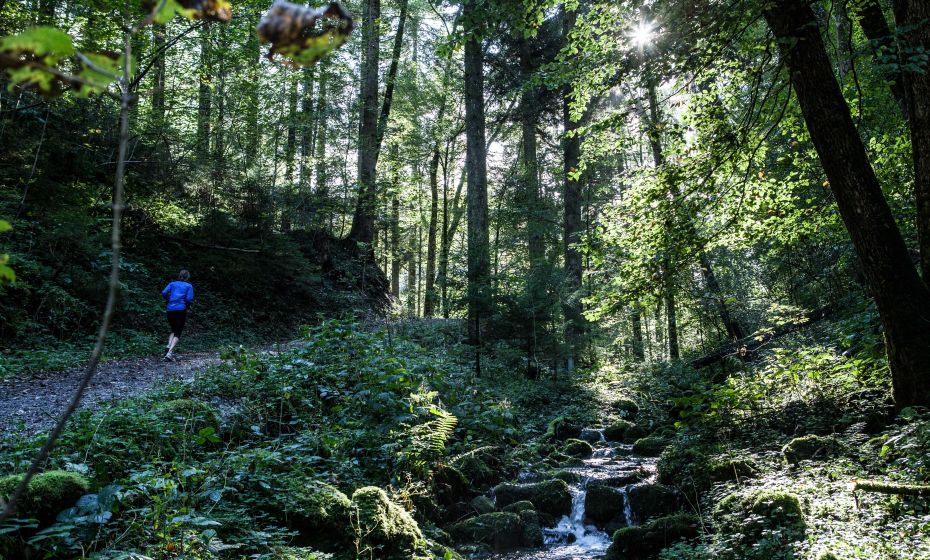 Ãrflaschlucht Ãrflaschlucht