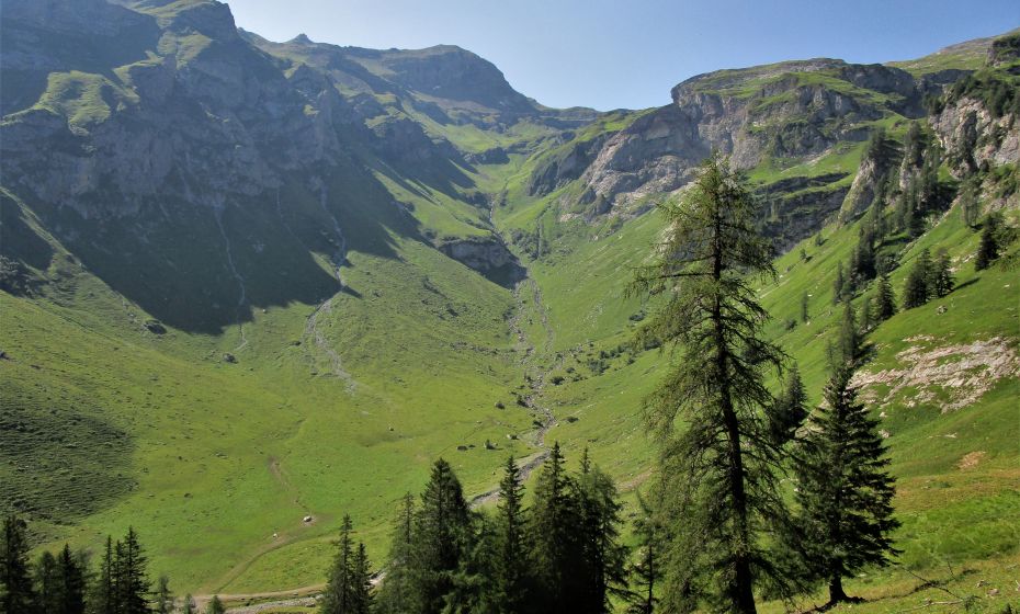 Blick in den Talschluss. Im Hintergrund das BarthÃ¼meljoch