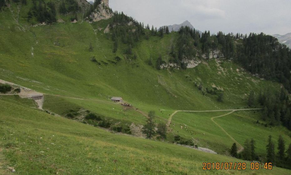 Blick auf die Setschalpe. Der Alpweg nach rechts ist unser Weiterweg