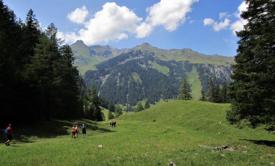 GemÃ¼tlicher Abstieg durch Wiesen. Im Hintergrund die Liechtensteiner Berge Gorfion, Augstenberg und Spitz.