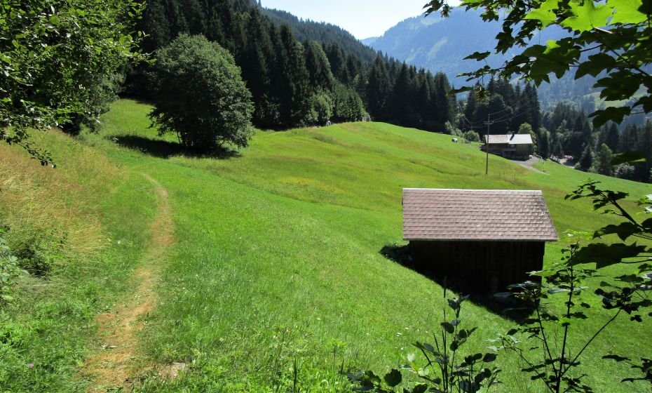 Sanft fallend führt der Wiesenweg gemütlich bis zur FurkastraÃe Sanft fallend führt der Wiesenweg gemütlich bis zur FurkastraÃe