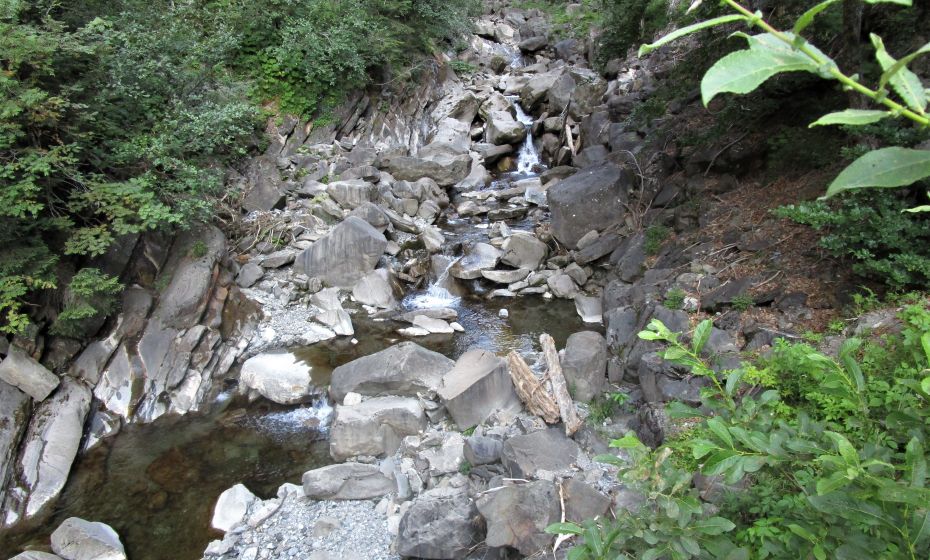 Der Garnitzabach ist durch das Gefälle ein schöner Wildbach, der die geologischen Strukturen ausgewaschen hat Der Garnitzabach ist durch das Gefälle ein schöner Wildbach, der die geologischen Strukturen ausgewaschen hat