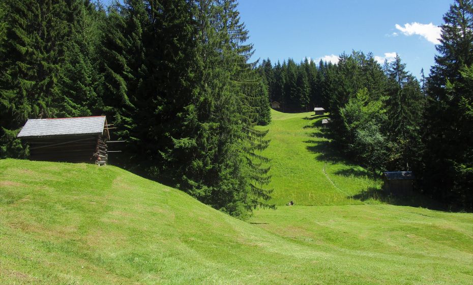 Jede kleine halbwegs ebene FlÃ¤che wird landwirtschaftlich genutzt