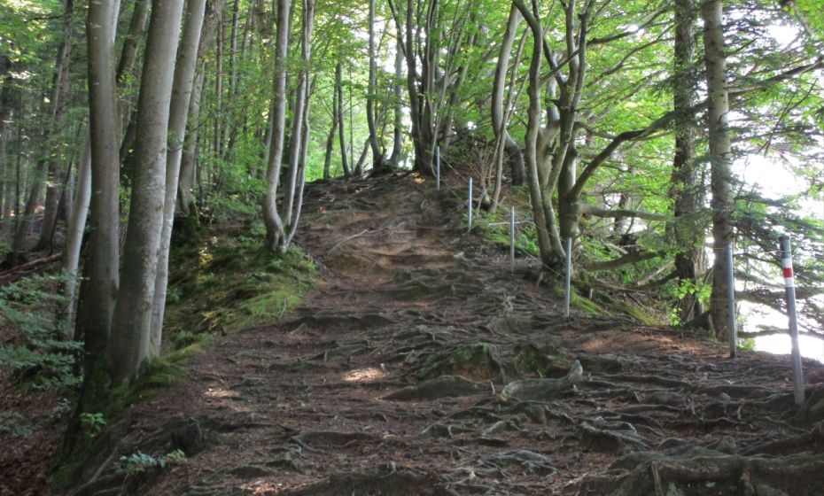 Dies ist die EinmÃ¼ndung des oberen KÃ¤nzeleweges, der gutes Schuhwerk erfordert