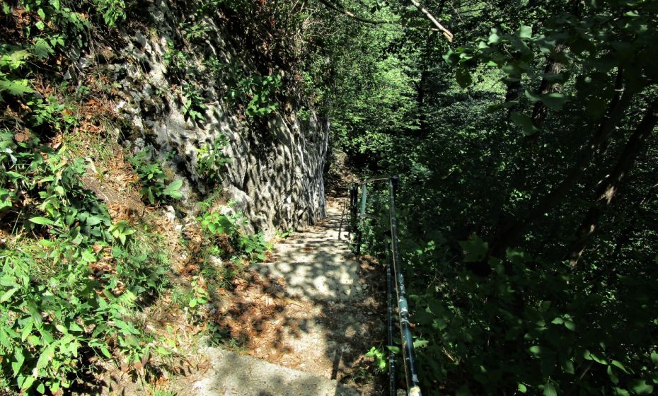 Erich Zucalli - www.guideservice.at Abstieg von Therenberg zur Ruine Neu-Montfort