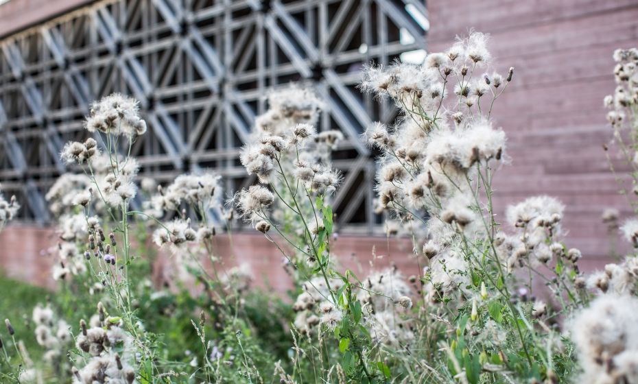 Islamischer Friedhof Islamischer Friedhof