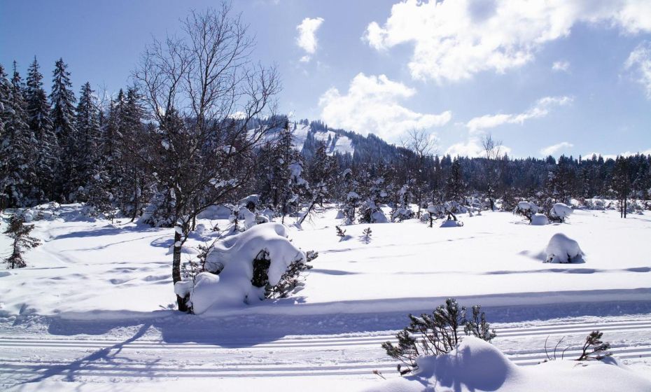 Hotel Marvia Hotel Marvia