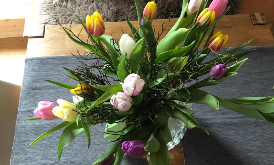 mama käthe - Apartments mama käthe - Apartments