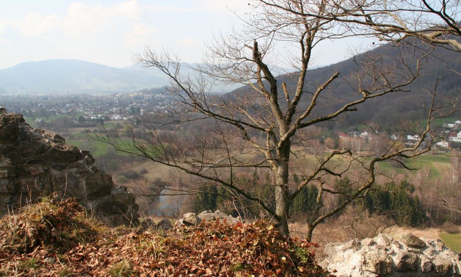 Barbara Neyer - Gemeinde Koblach Blick auf Ried, Koblach und Montlingen