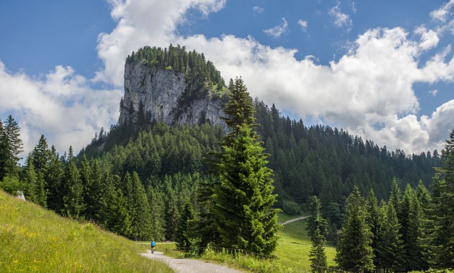 Blick auf "SchÃ¶ner Mann"