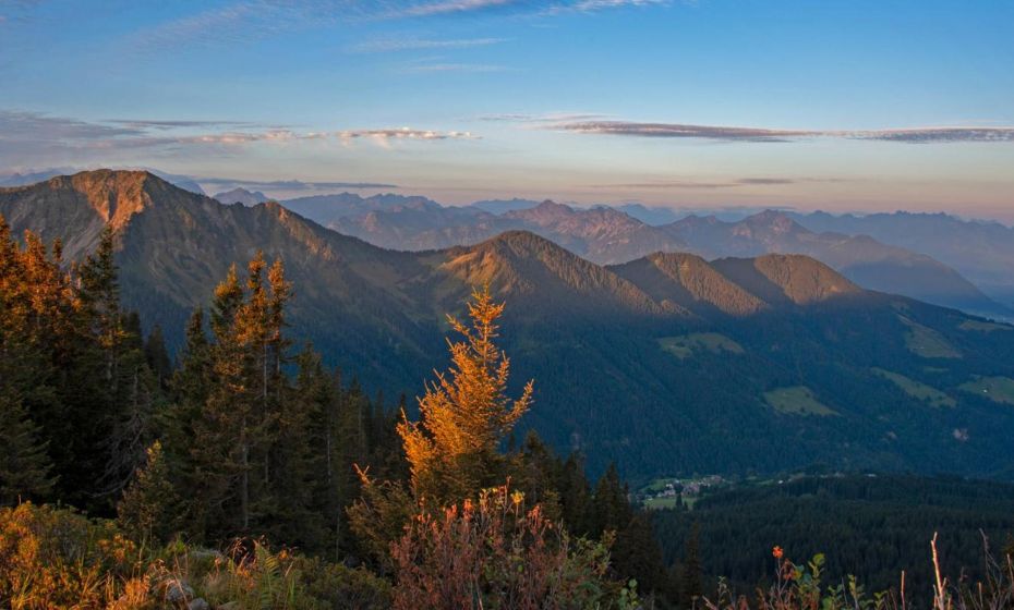 JUFA Hotel Laterns - Klangholzhus JUFA Hotel Laterns - Klangholzhus