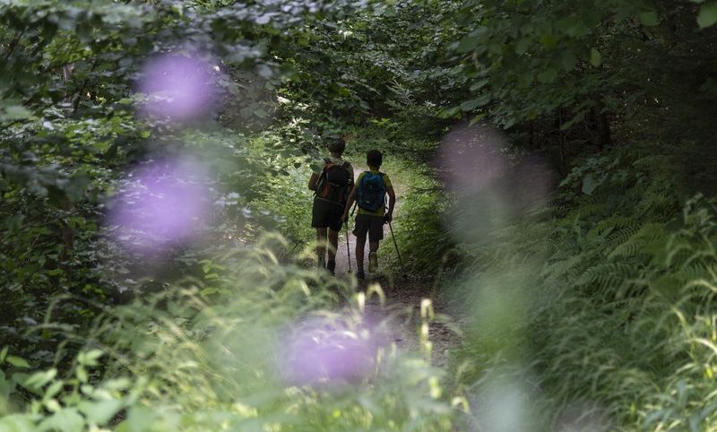 Weg Richtung Ãble Schlucht (c) Martin Vogel / Vorarlberg Tourismus