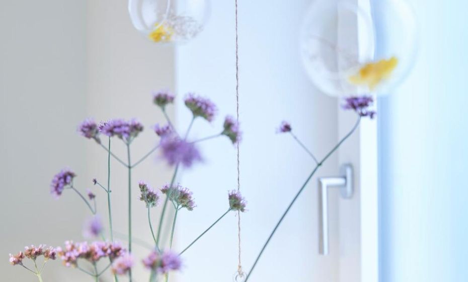 Rotes Haus Bregenz Garten Wohnung