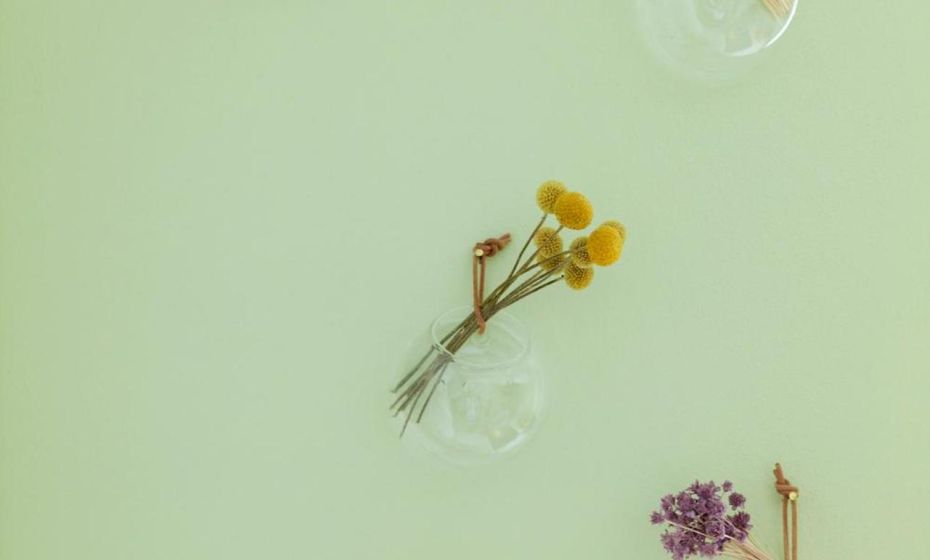 Rotes Haus Bregenz Garten Wohnung