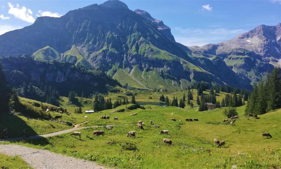 Ferienhaus HÃ¤mmerleÂ´s