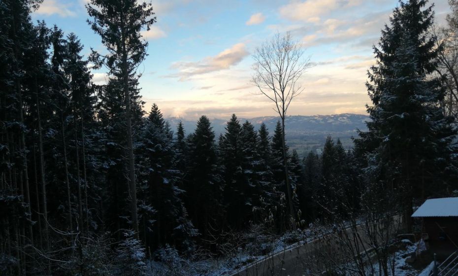 1 ZI Appartement Zauberwald