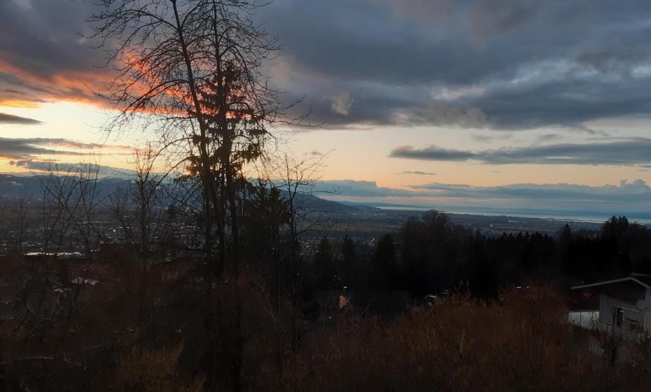 Ferienwohnung Bodenseeblick