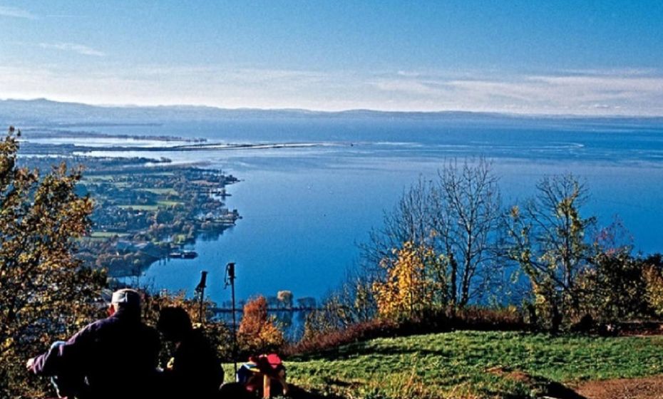 Bodensee-Ferienwohnung Am Ruggbach