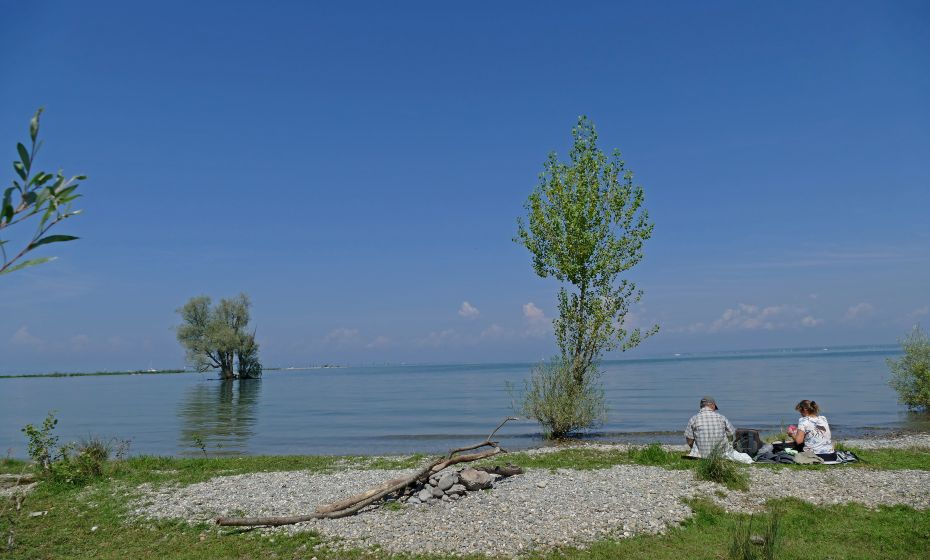 Am Rheinspitz Am Rheinspitz