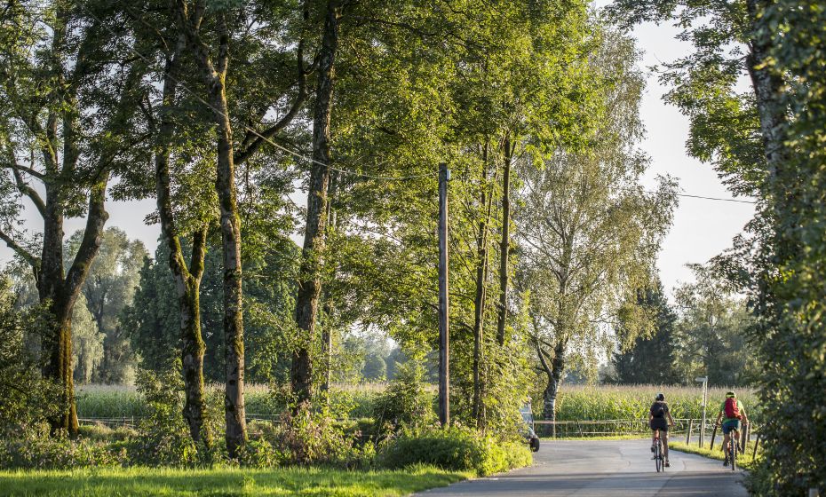 Radfahren Lauteracher Ried Radfahren Lauteracher Ried