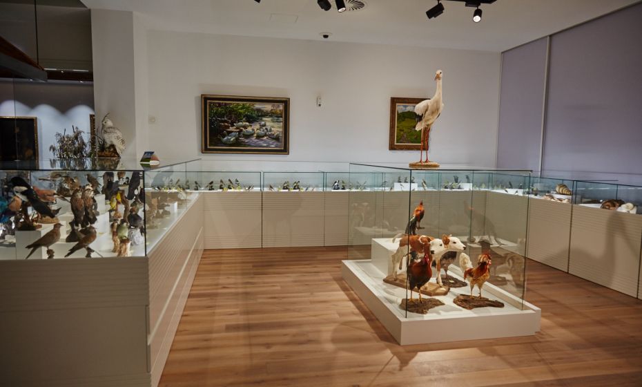 Arche Noah Museum Arche Noah Museum