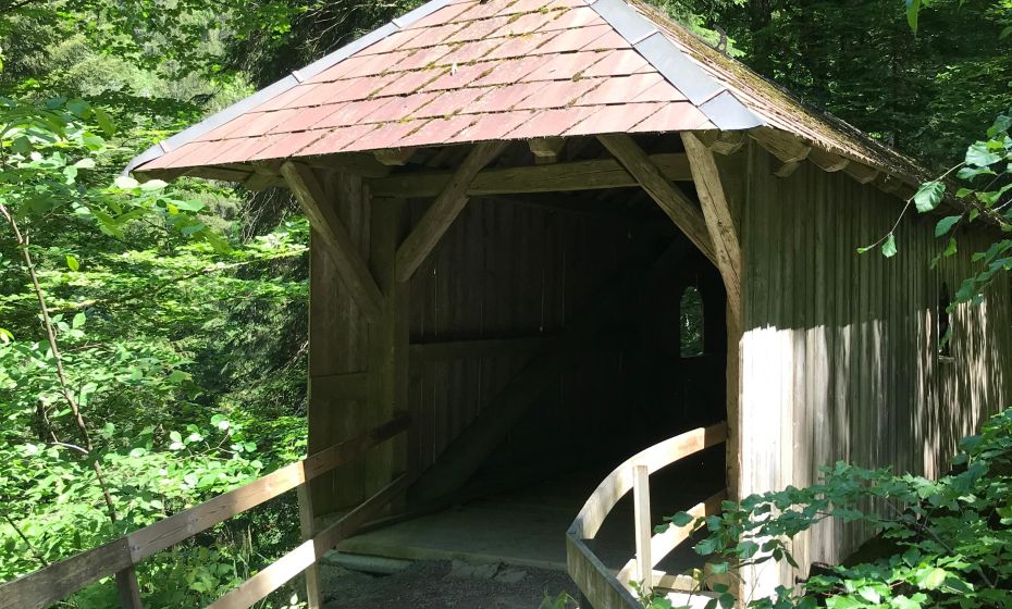 Radtour Dornbirn GÃ¼tle Sattelalpe ammansbruecke