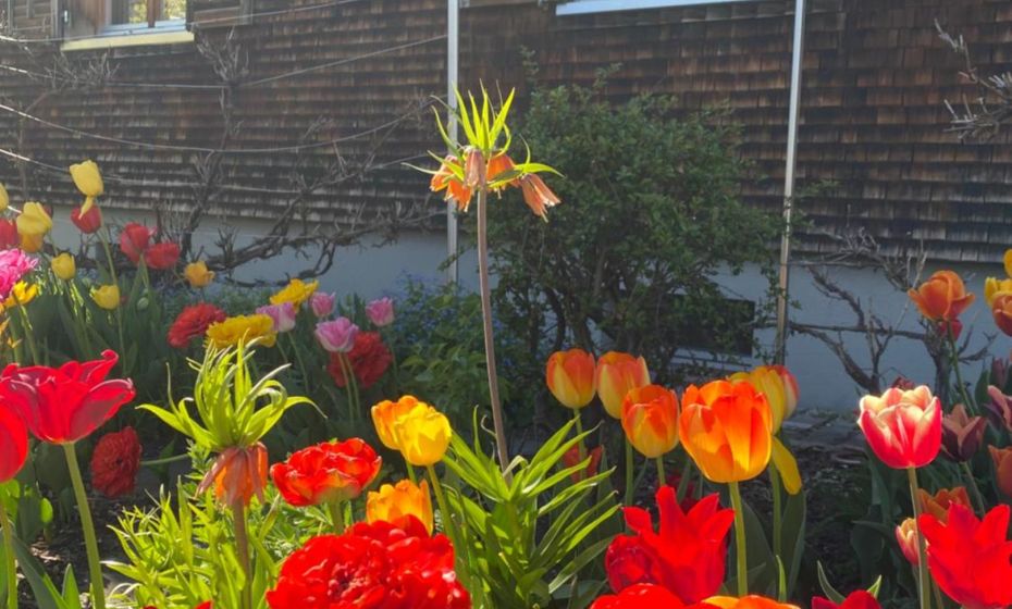 mama käthe - Apartments mama käthe - Apartments