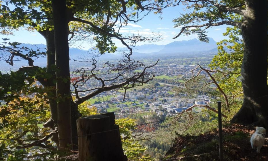 F E R I E N W O H N U N G "Am Halbenstein" F E R I E N W O H N U N G "Am Halbenstein"