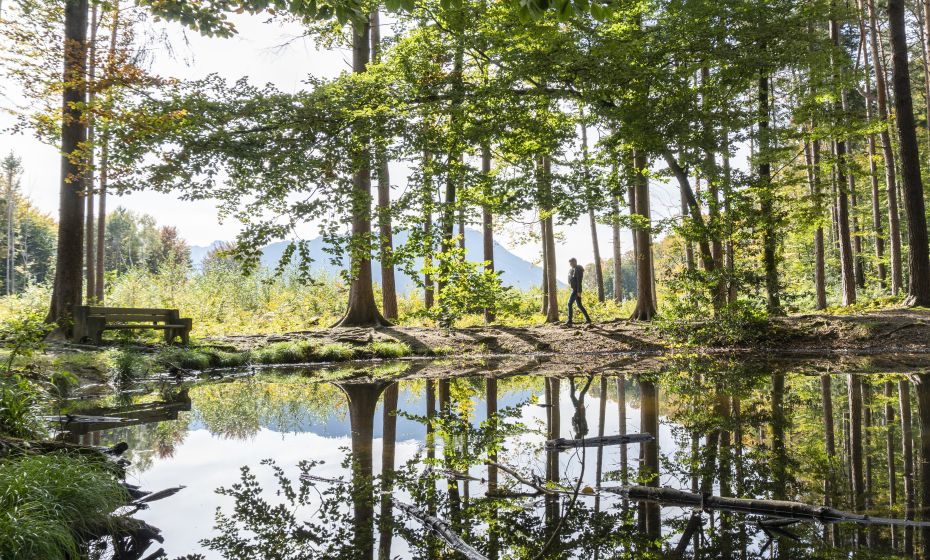 Wildpark Feldkirch Sautränke Wildpark Feldkirch Sautränke
