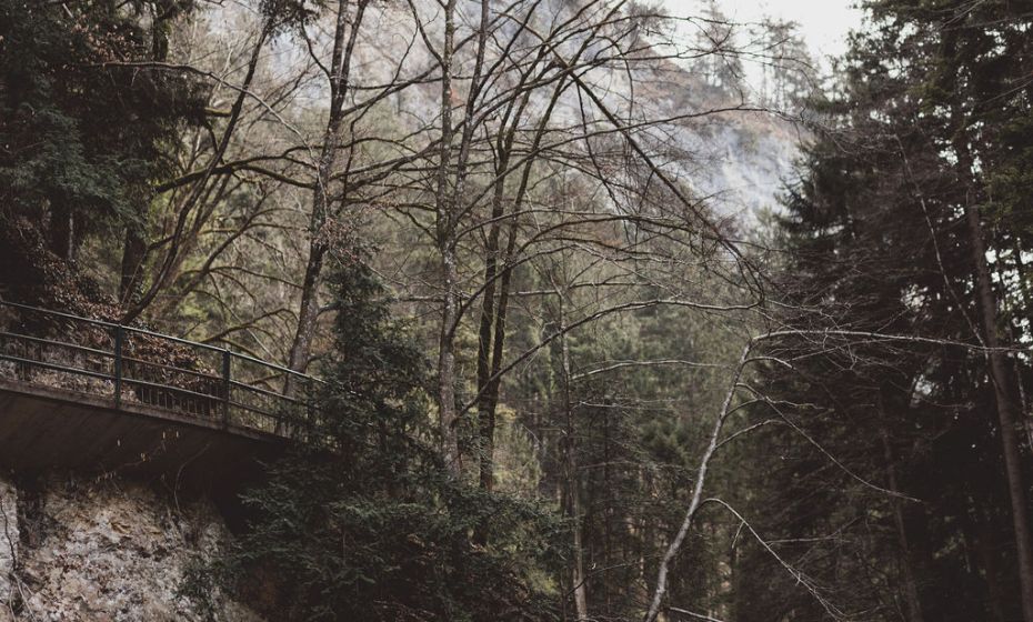 Naturpicknick Ãrflaschlucht