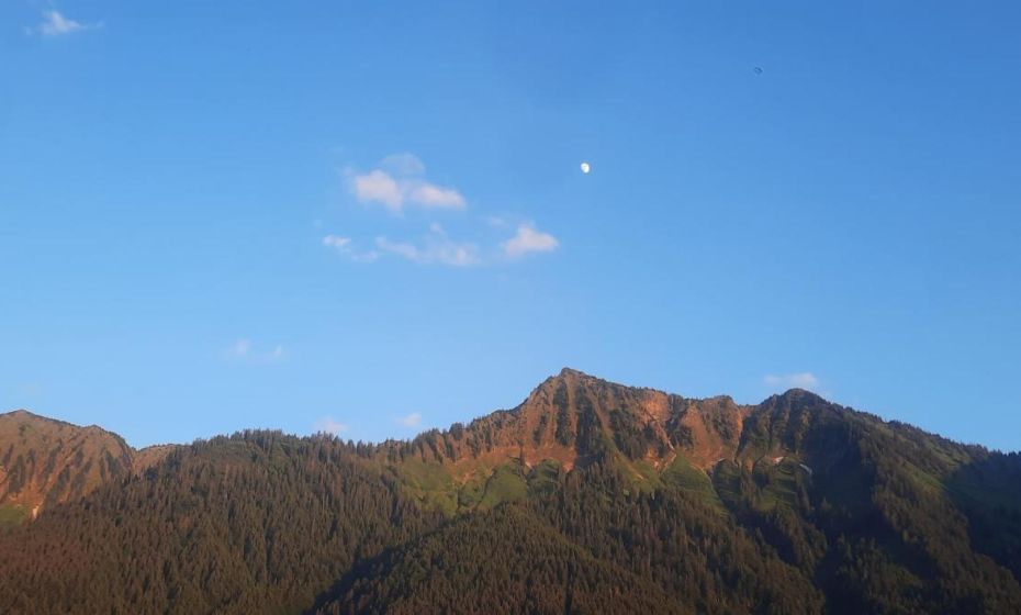 Sunnaschi Appartements - Wohnungen oder gesamt als "HÃ¼tte"