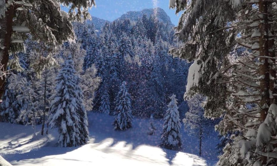 Ferienhaus Haus im Garten Ferienhaus Haus im Garten