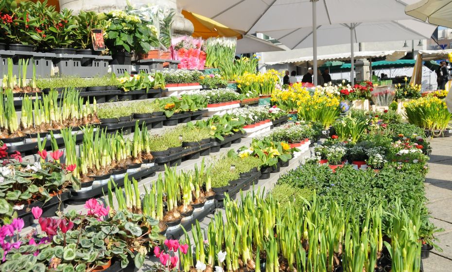 Wochenmarkt