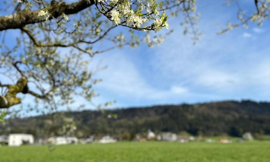 Gasthof - Auszeit im Bad Diezlings - Adults only