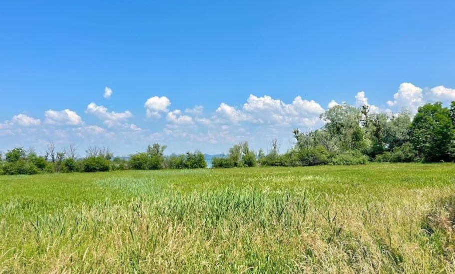 Seeparkvilla â Wohlfühlen am See und im Grünen Seeparkvilla â Wohlfühlen am See und im Grünen