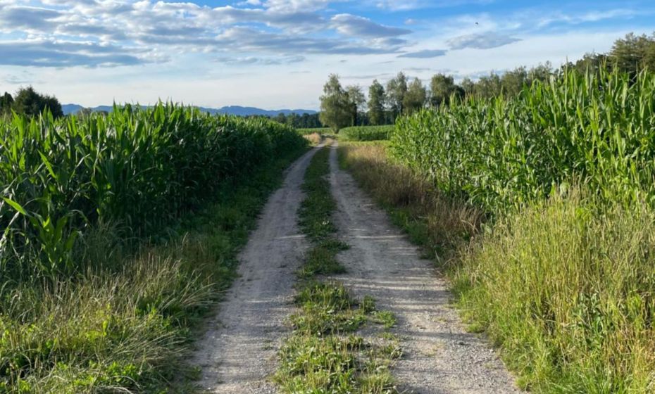 Negrelli Appartement Negrelli Appartement