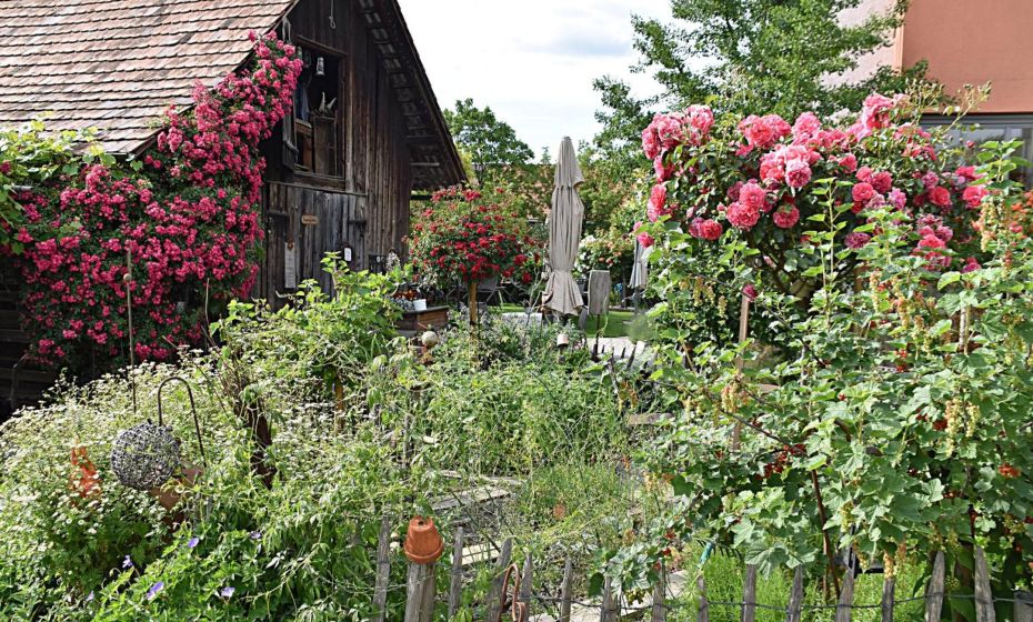 Hotel Restaurant Mohren