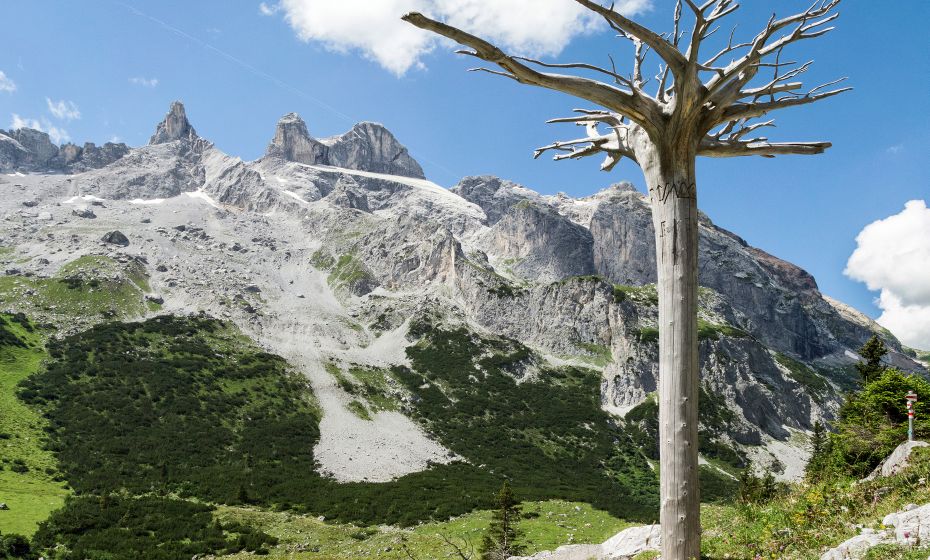 Gauertaler AlpkulTour (c) Andreas Haller - Montafon Tourismus GmbH, Schruns.jpg