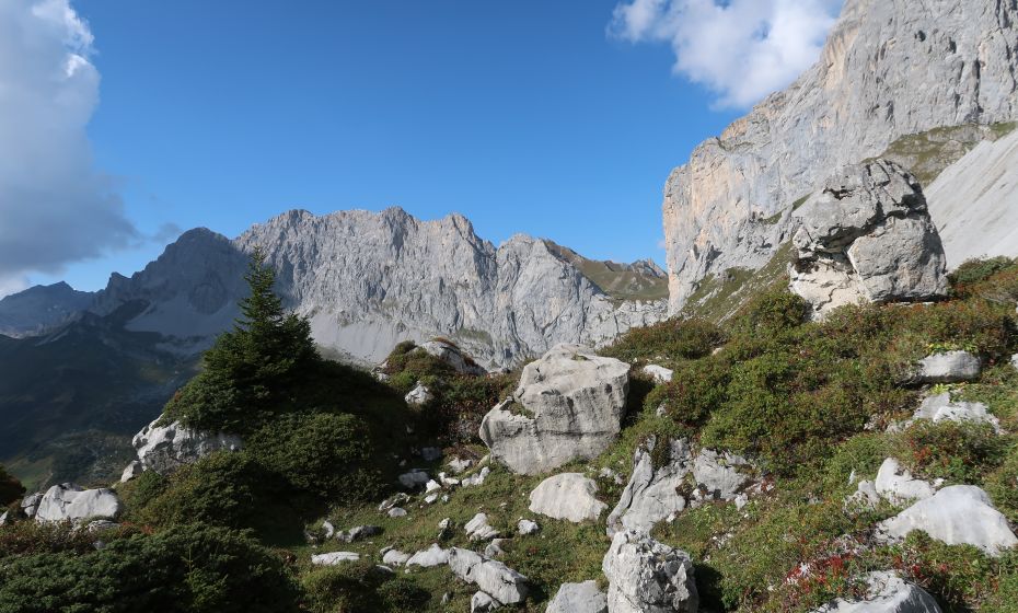 Schweizer Tor und Kirchlispitzen