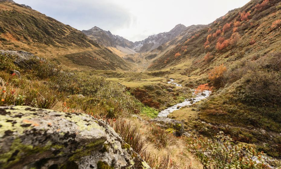 __NO_NAME__ __NO_NAME__