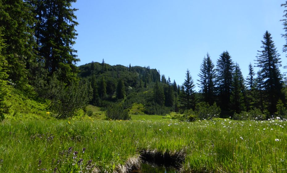 __NO_NAME__ __NO_NAME__