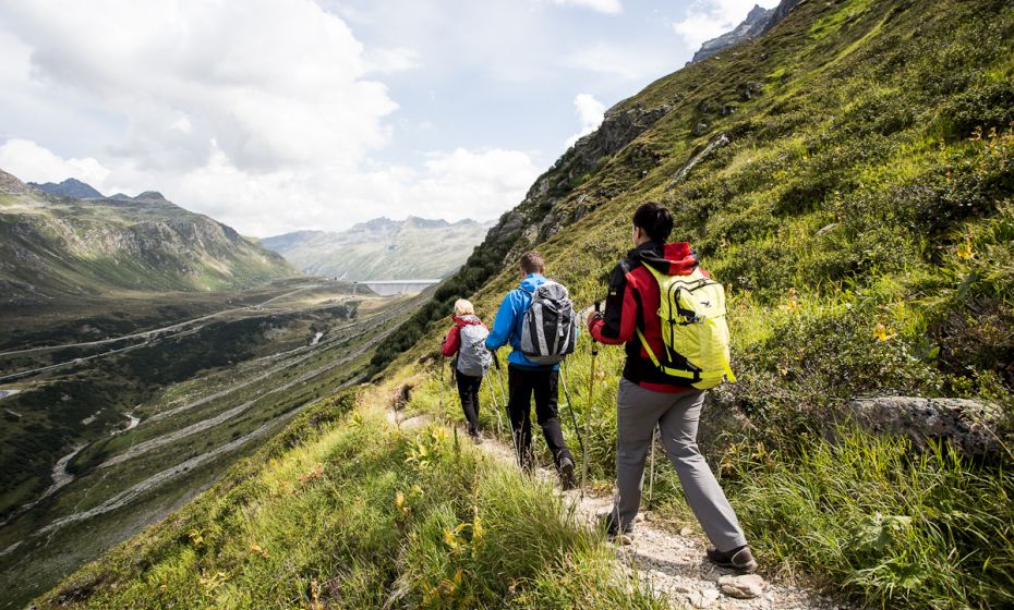 Tschifernella Tschifernella