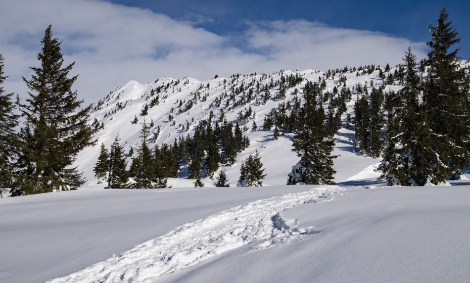 Schneeschuhwanderng Wannaköpfe Schneeschuhwanderng Wannaköpfe