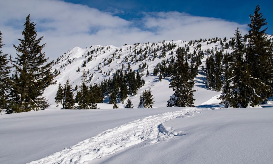 Schneeschuhwanderng WannakÃ¶pfe