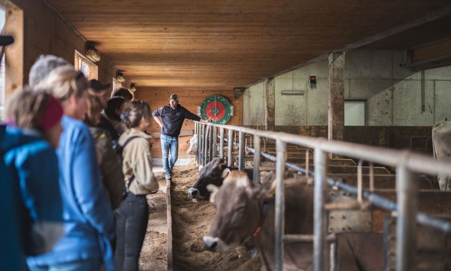 Lässers Schlössle Hof Hard Lässers Schlössle Hof Hard