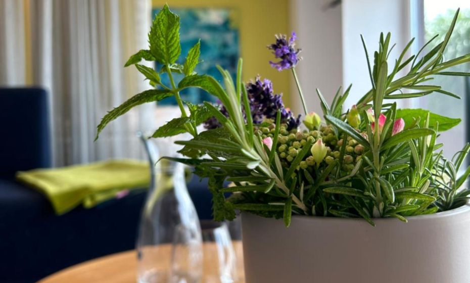 Seeblick Appartements Henle