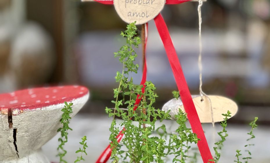 Probiar Amol Weg - Maria Pfefferkorn Probiar Amol Weg - Maria Pfefferkorn