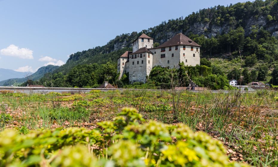 Feldkirch Ausblick Montforthaus Dach