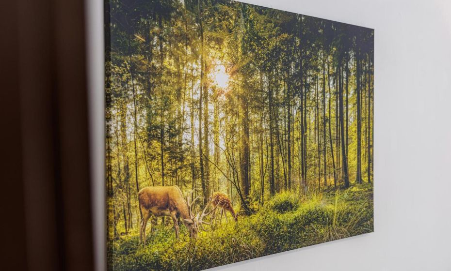 Seeperle Lochau - Der See ruft!