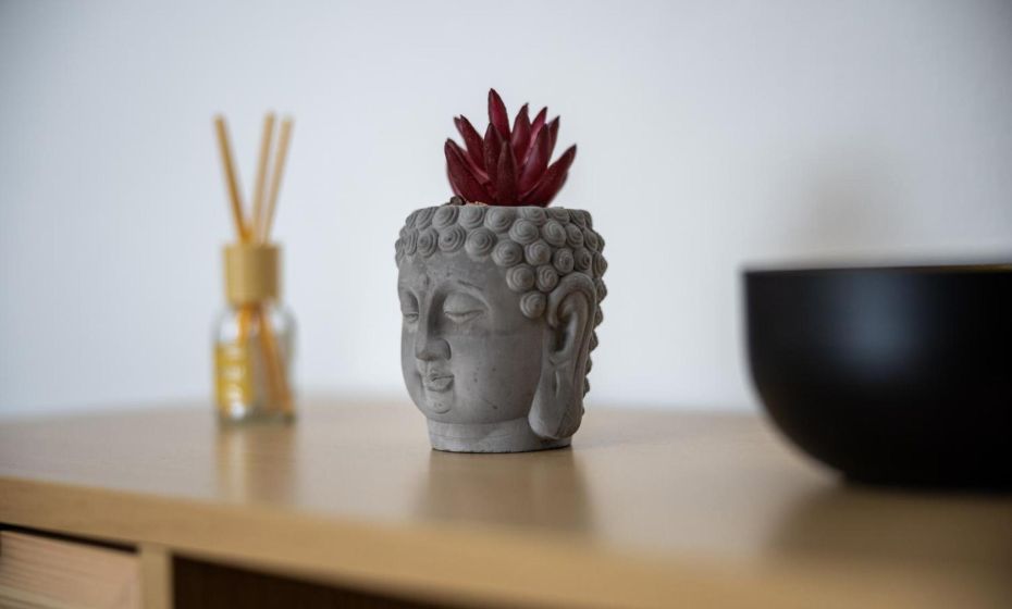 Seeperle Lochau - Der See ruft!